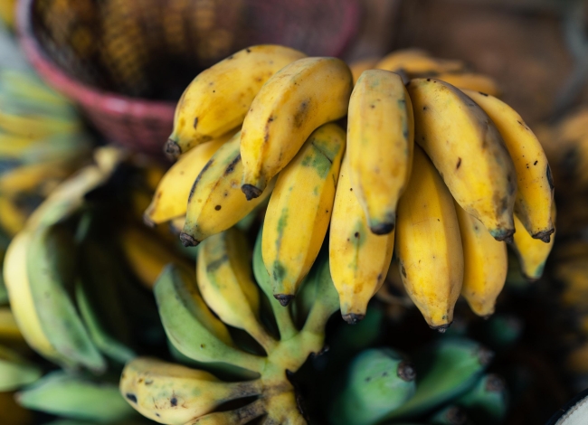 Congresso discute estratégias para potencializar o agronegócio no Vale do Jequitinhonha